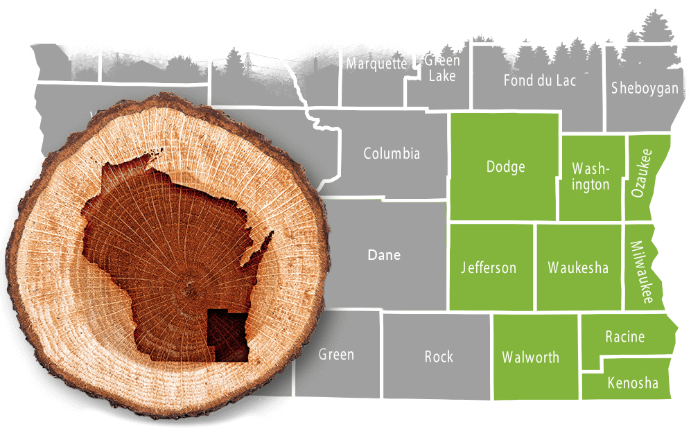 Stump Grinding Service Area Stump Grinding Service Area - Southeast WI